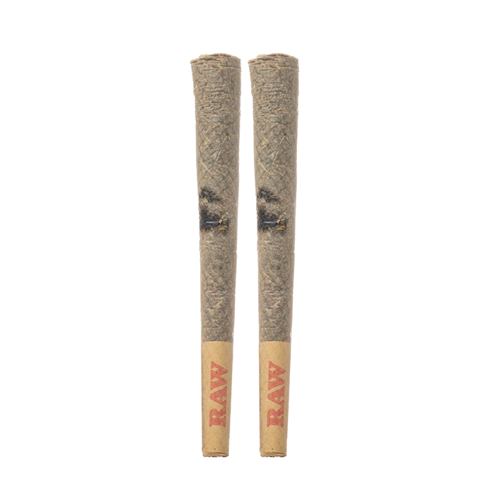 Flying Horse THCA Hash Hole Prerolls 5G - Smoke empire