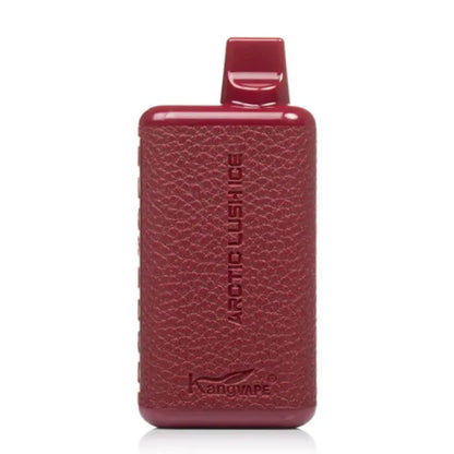 Bundle: Kangvape Onee Pro 5000 Vape Bundle