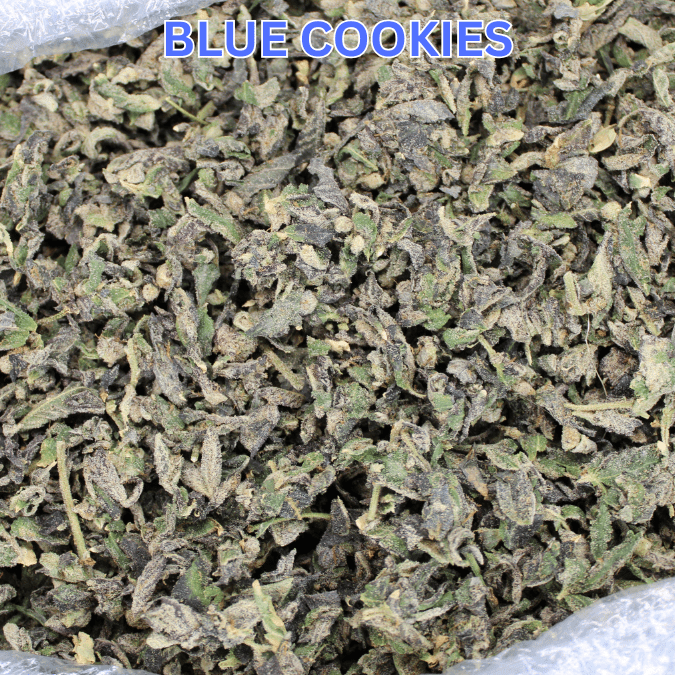 Blue Cookies THCA Trim - Smoke empire