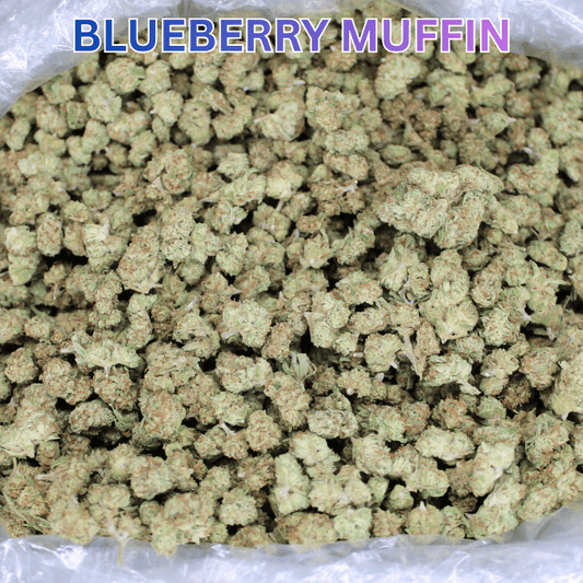 Blueberry Muffin THCA Flower - Smoke empire
