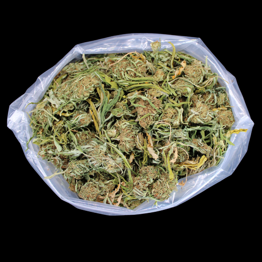 Lemon Octane (Bucked) CBD Hemp Flower - Smoke empire