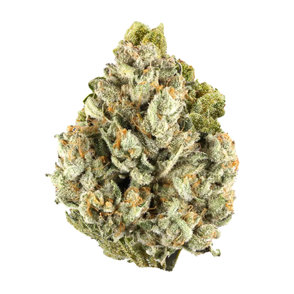 Colombia Gold Infused Top Shelf Pre Rolls (Sativa) - Smoke empire