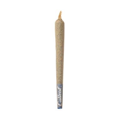 Cutleaf THCA FreshBox Pre-Rolls 6G - Smoke empire