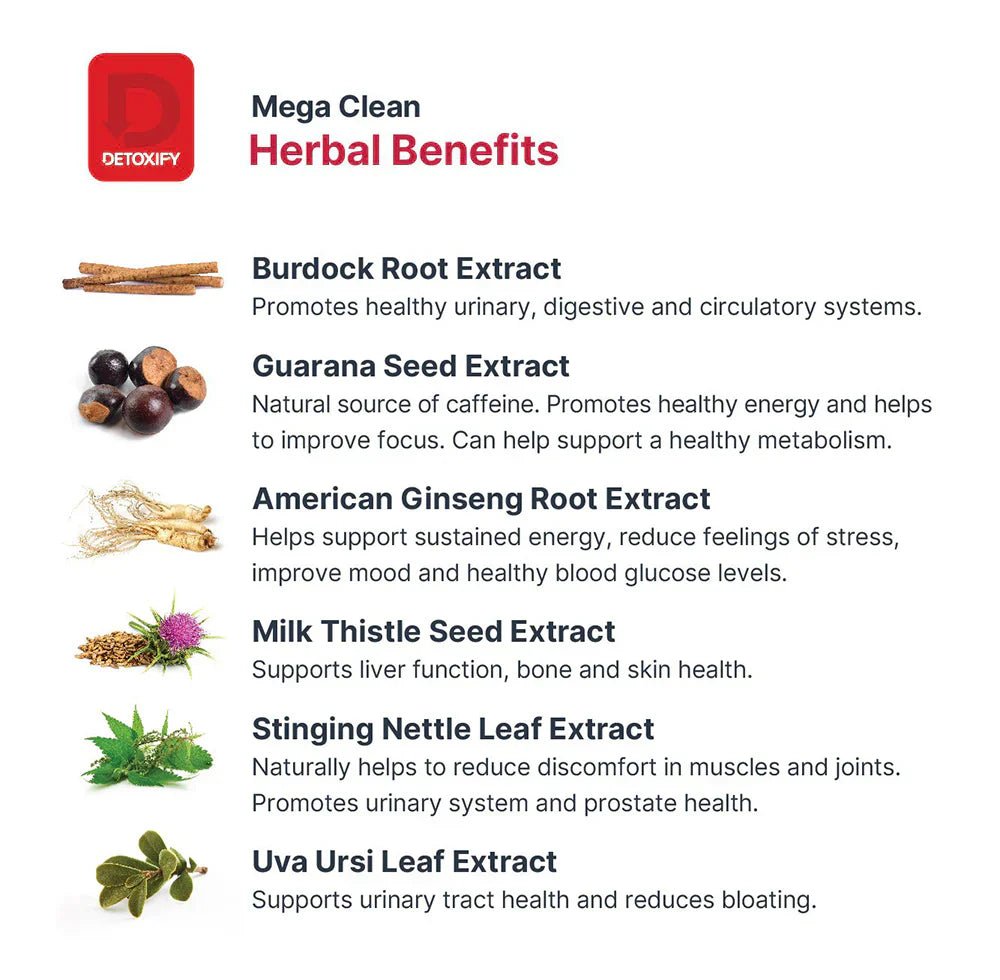 Detoxify Mega Clean Herbal Cleanse - Tropical Fruit - Smoke empire