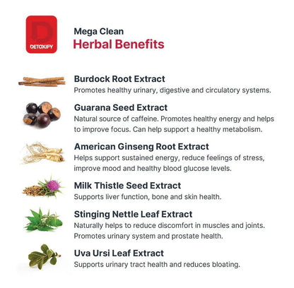 Detoxify Mega Clean Herbal Cleanse - Tropical Fruit - Smoke empire