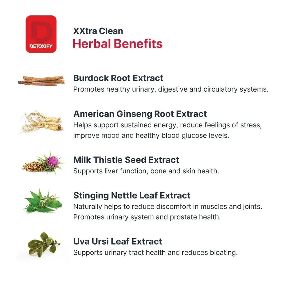 Detoxify XXtra Clean Herbal Cleanse - Smoke empire