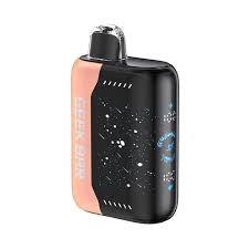 Geek Bar Pulse X 25k Puffs - Smoke empire