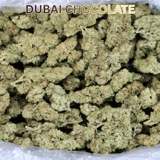 Dubai Chocolate THCA Flower - Smoke empire