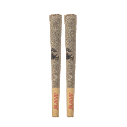 Flying Horse THCA Hash Hole Prerolls 5G - Smoke empire