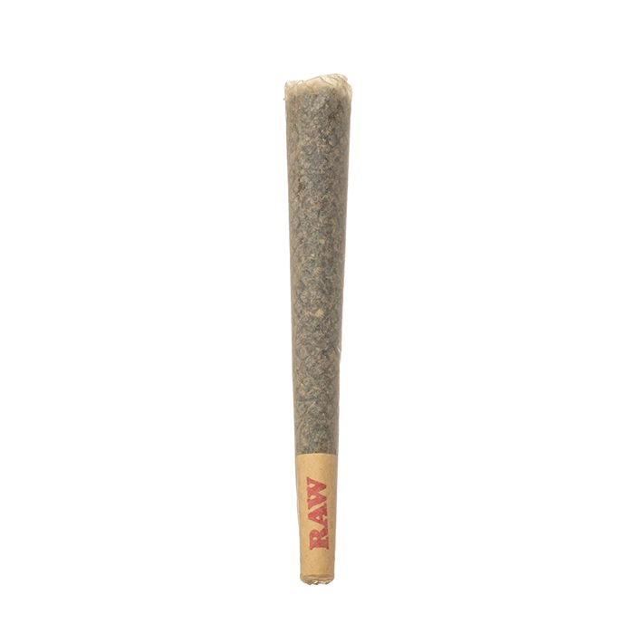 Flying Monkey Golds Rosin THCA Prerolls 16.5G - Smoke empire
