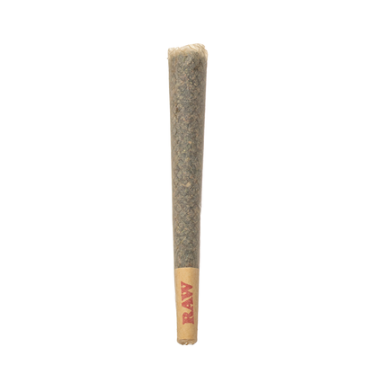 Flying Monkey Golds Rosin THCA Prerolls 16.5G - Smoke empire