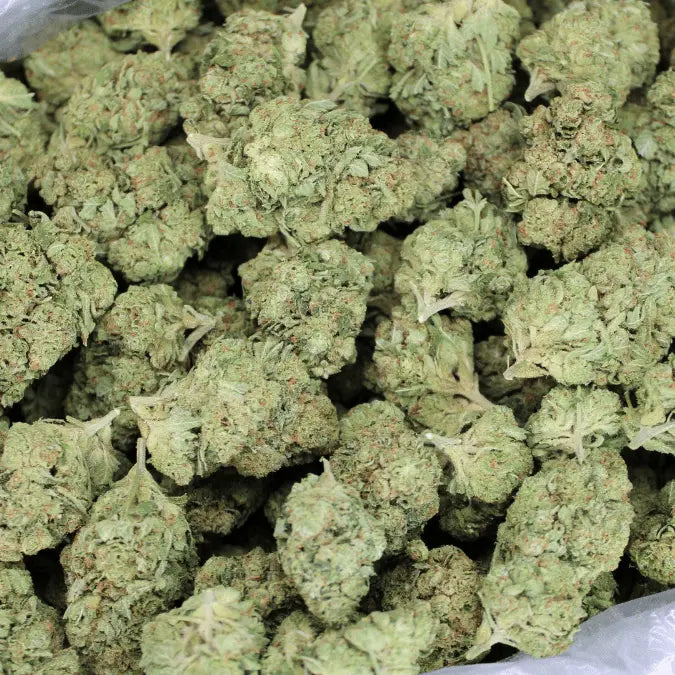 Ghost Train Haze THCA Flower - Smoke empire