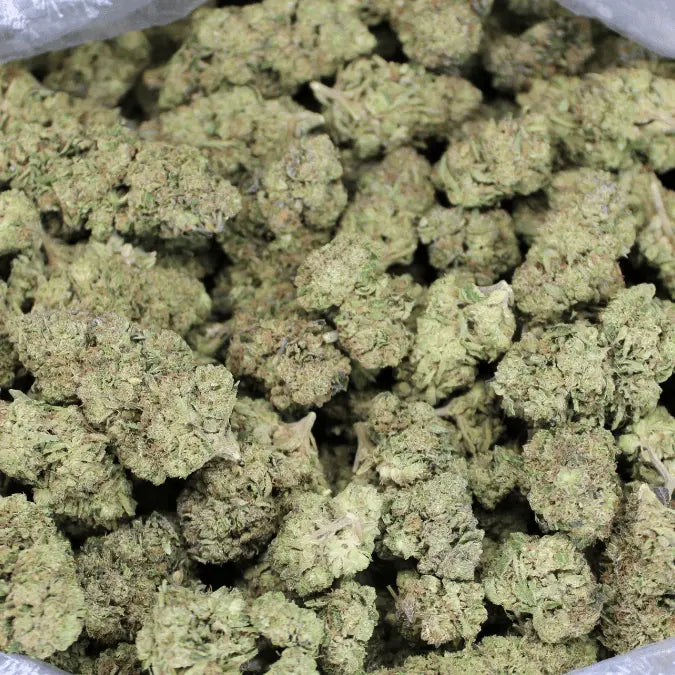 Gorilla Glue THCA Flower - Smoke empire