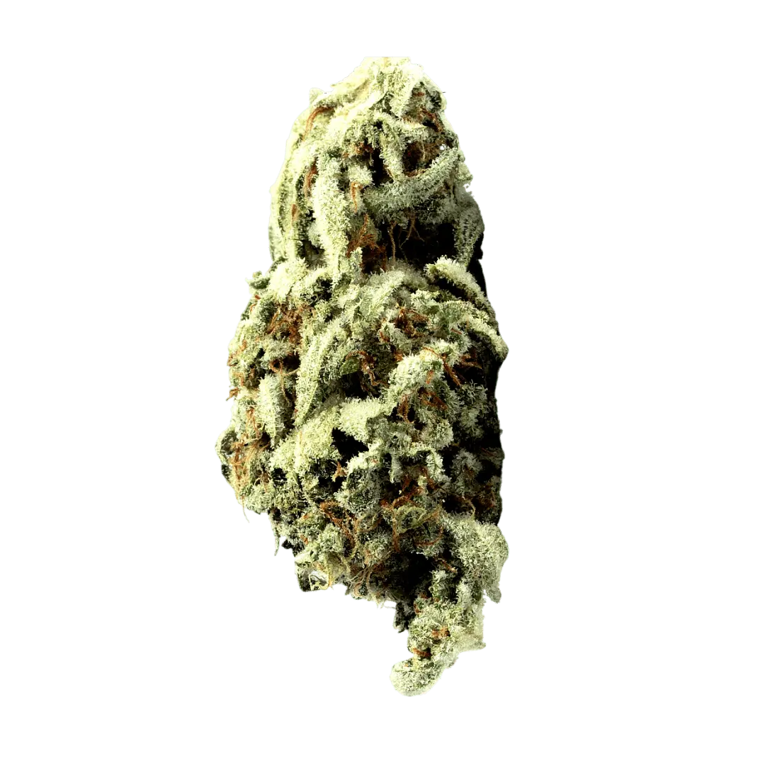 High Grade Flower – 20 Pack (1g Each) - Smoke empire