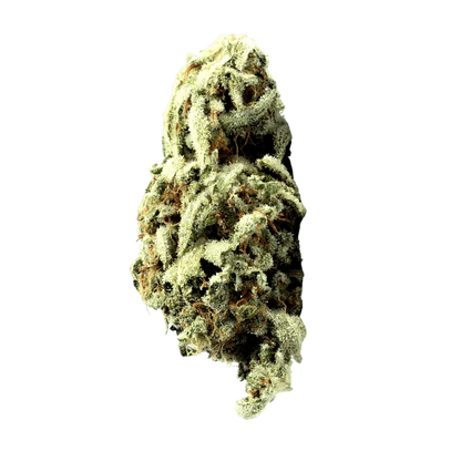 High Grade Flower – 20 Pack (1g Each) - Smoke empire