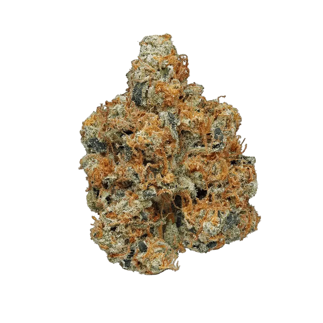 High Grade Flower – 20 Pack (1g Each) - Smoke empire