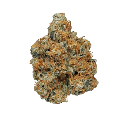 High Grade Flower – 20 Pack (1g Each) - Smoke empire