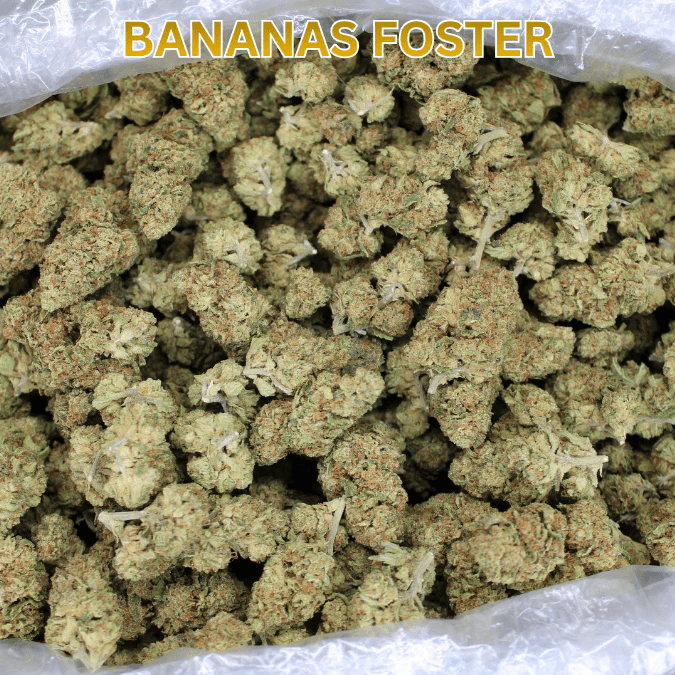 Bananas Foster (Sativa Hybrid) Indoor THCA Smalls - Smoke empire