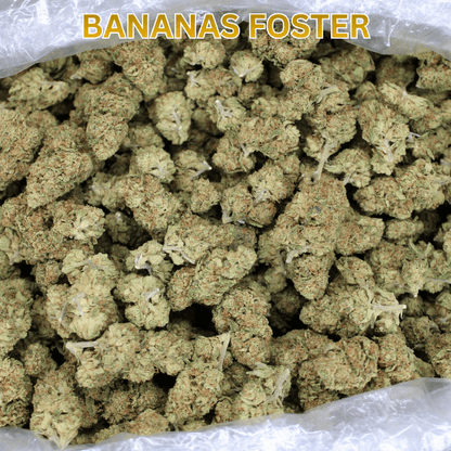 Bananas Foster (Sativa Hybrid) Indoor THCA Smalls - Smoke empire