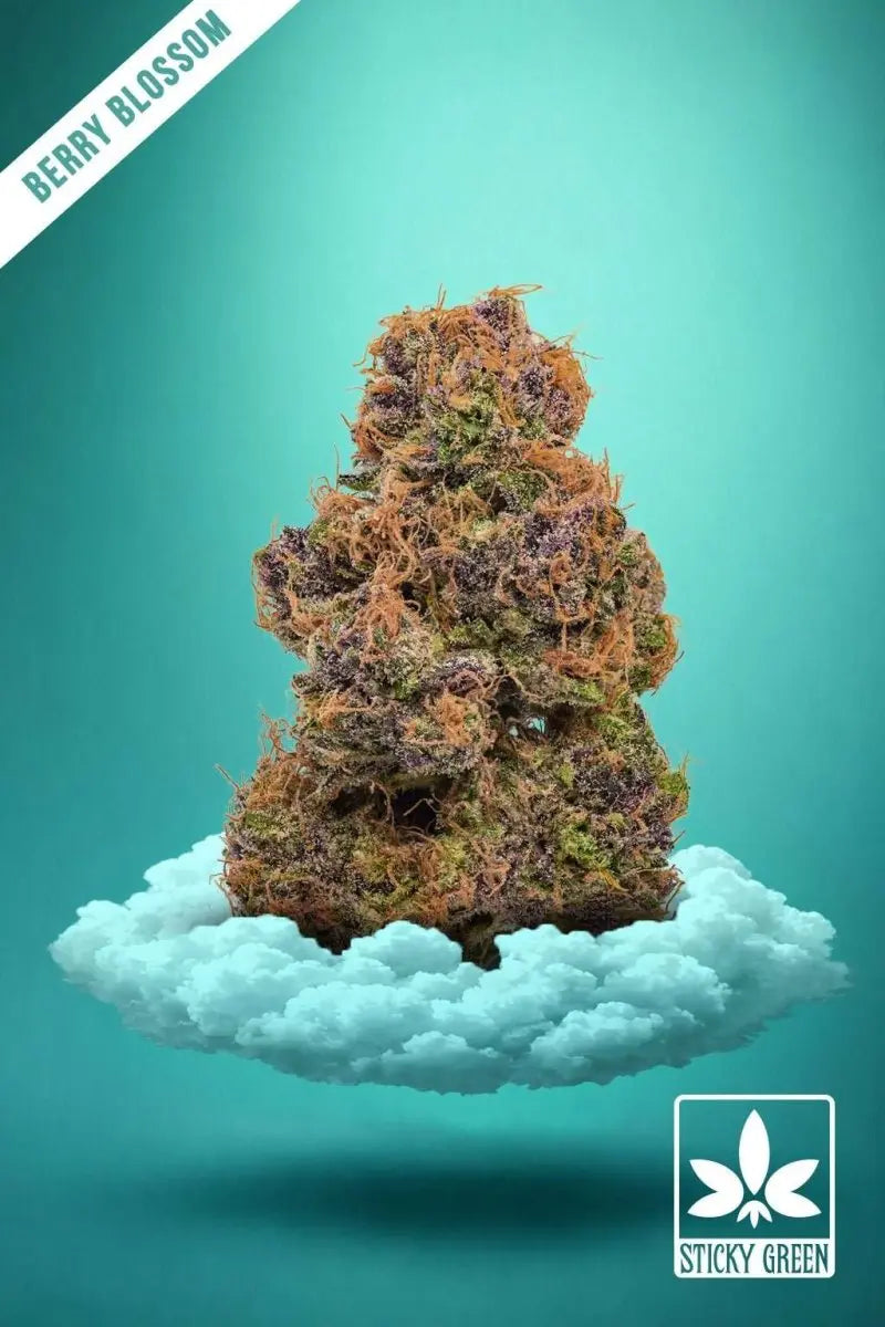 Infused Flower THCP 1g (20ct) - Smoke empire