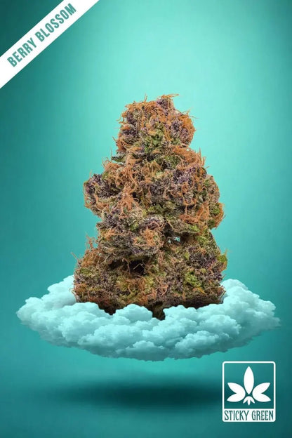 Infused Flower THCP 1g (20ct) - Smoke empire