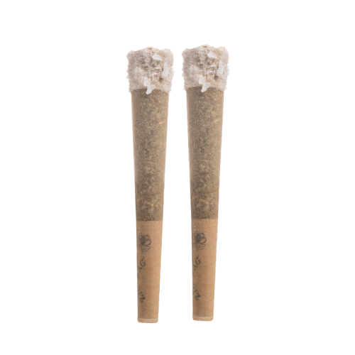 LOOPER THC-A LIVE ROSIN PRE ROLLS 1G - 2CT - Smoke empire