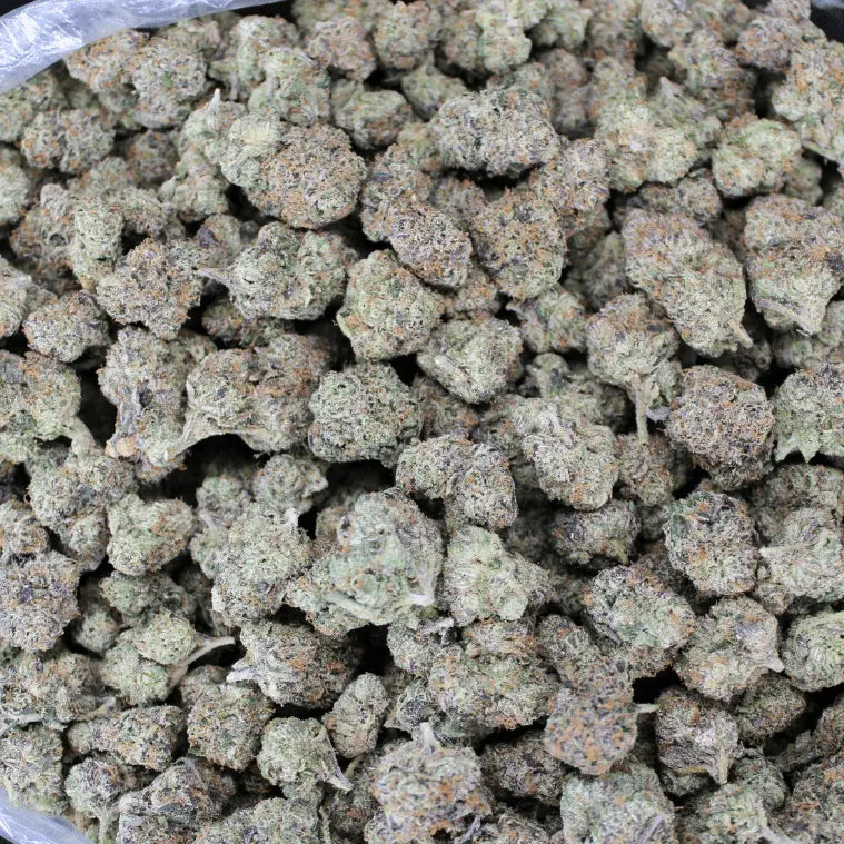 Maui Wowie THCA Flower - Smoke empire