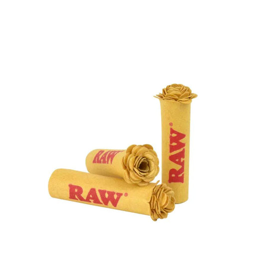 Raw Pre-Rolled Rose Tips - 6 Count Per Display - Smoke empire