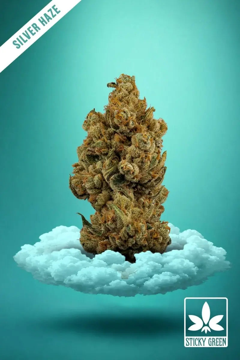 Silver Haze High Grade Pre Rolls (Sativa) - Smoke empire