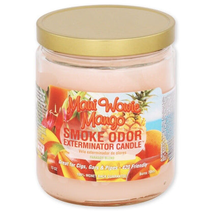 Smoke Odor Candle 13oz Jar - Smoke empire