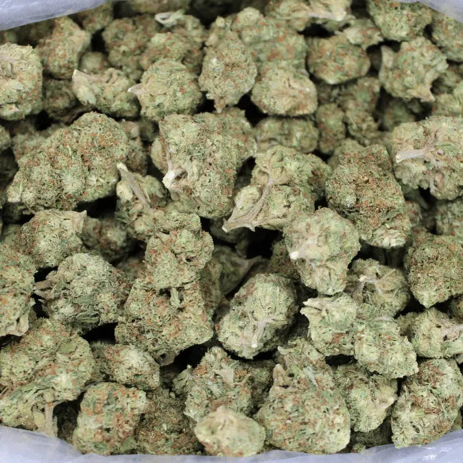 Strawberry Cough THCA Flower - Smoke empire