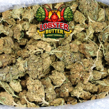 THCA Flower Budget Buds-3.99$ - Smoke empire