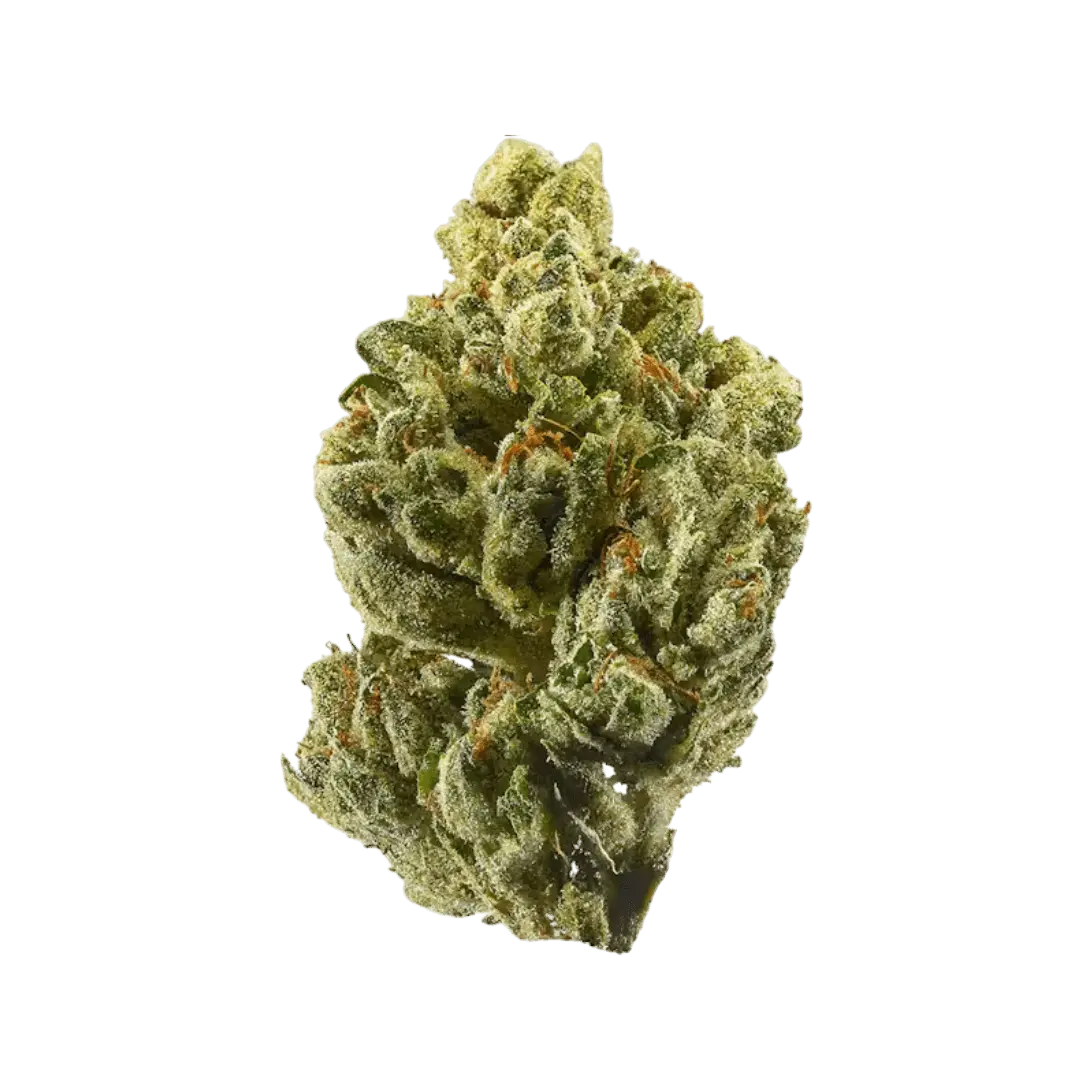 Top Shelf Flower 20 Pack (1g Each) - Smoke empire