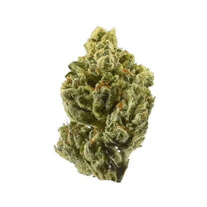 Top Shelf Flower 20 Pack (1g Each) - Smoke empire