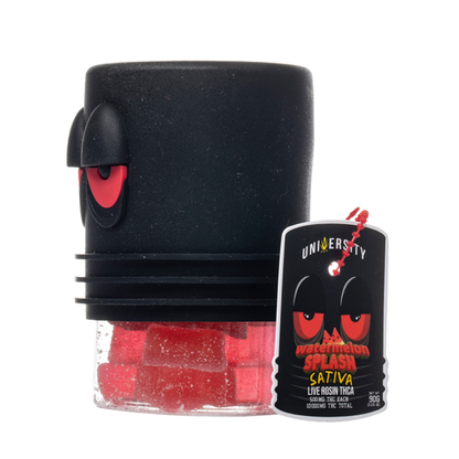 University THCA Live Rosin Gummies 10000mg - Smoke empire