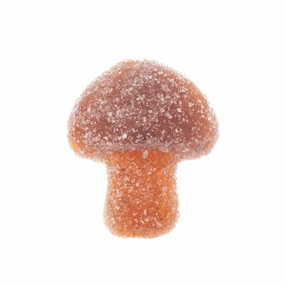 Wunder Mind Melt Mushroom Gummies 12000mg - Smoke empire